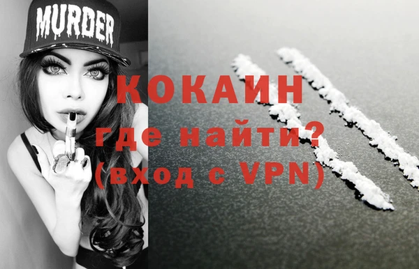PSILOCYBIN Заводоуковск